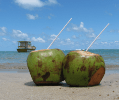 Como vender água de coco e ganhar um bom dinheiro